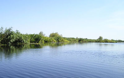 Blue Danube Delta.