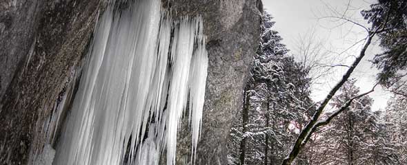 Seven Ladders - Winter Wonderland.