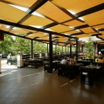 Taverna Sarbului at Lunchtime